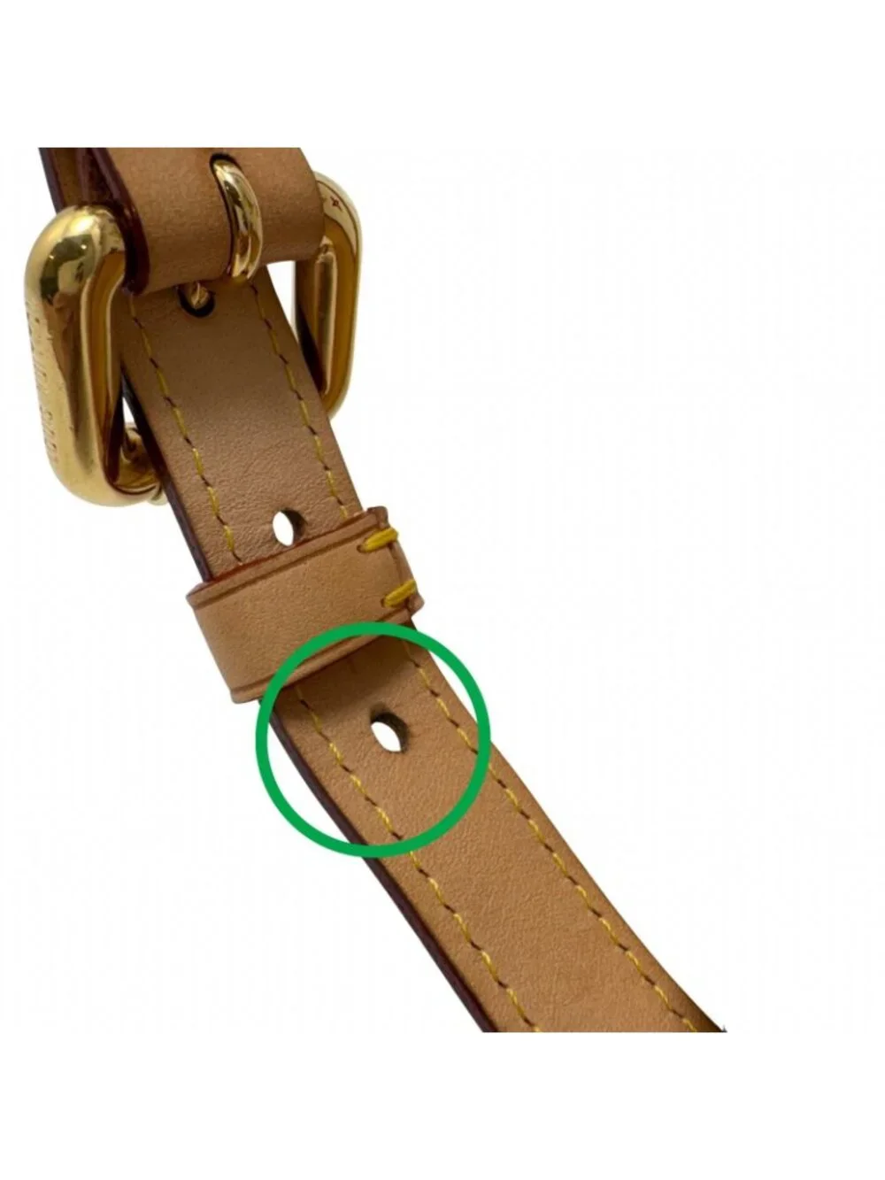 Louis Vuitton brand louis